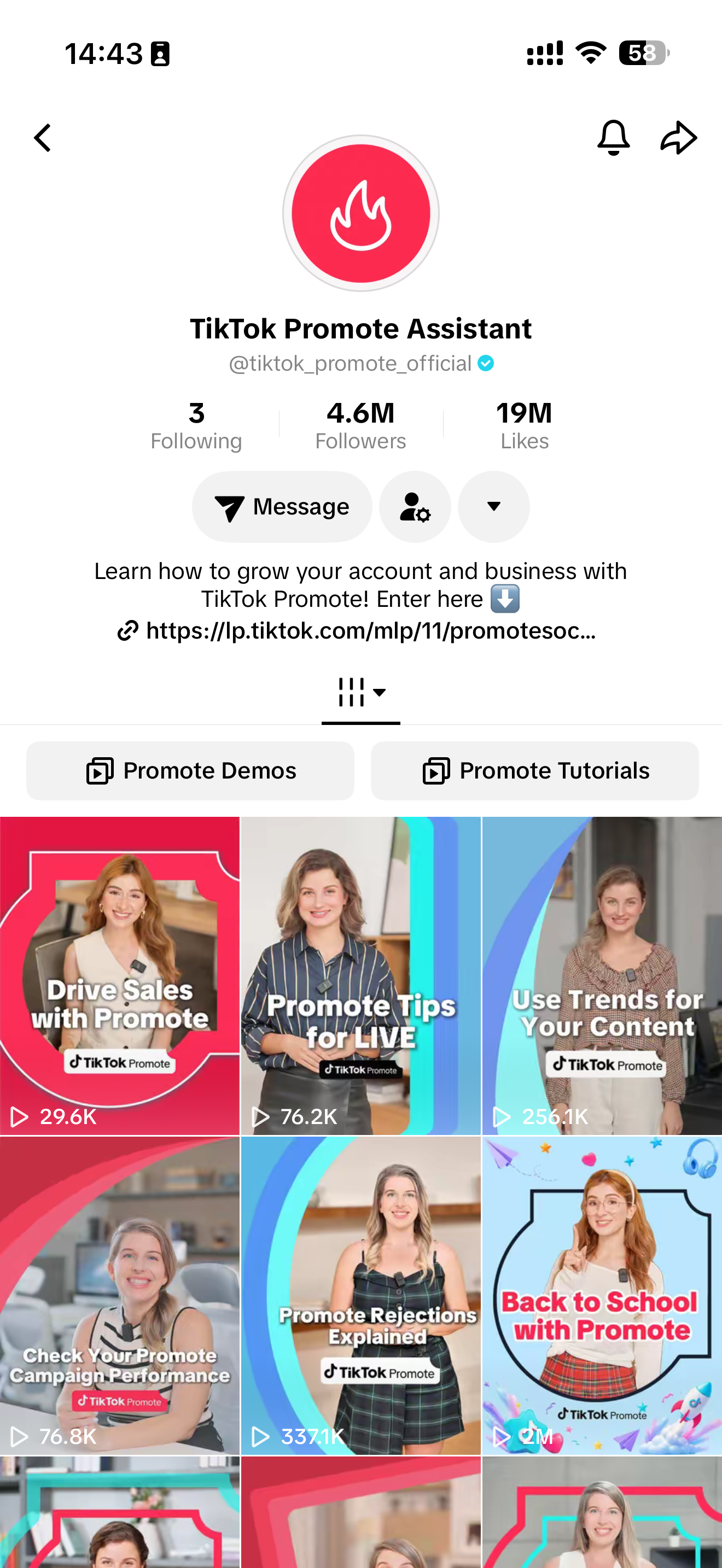 TikTok Promote EN official profile — archived screenshot
