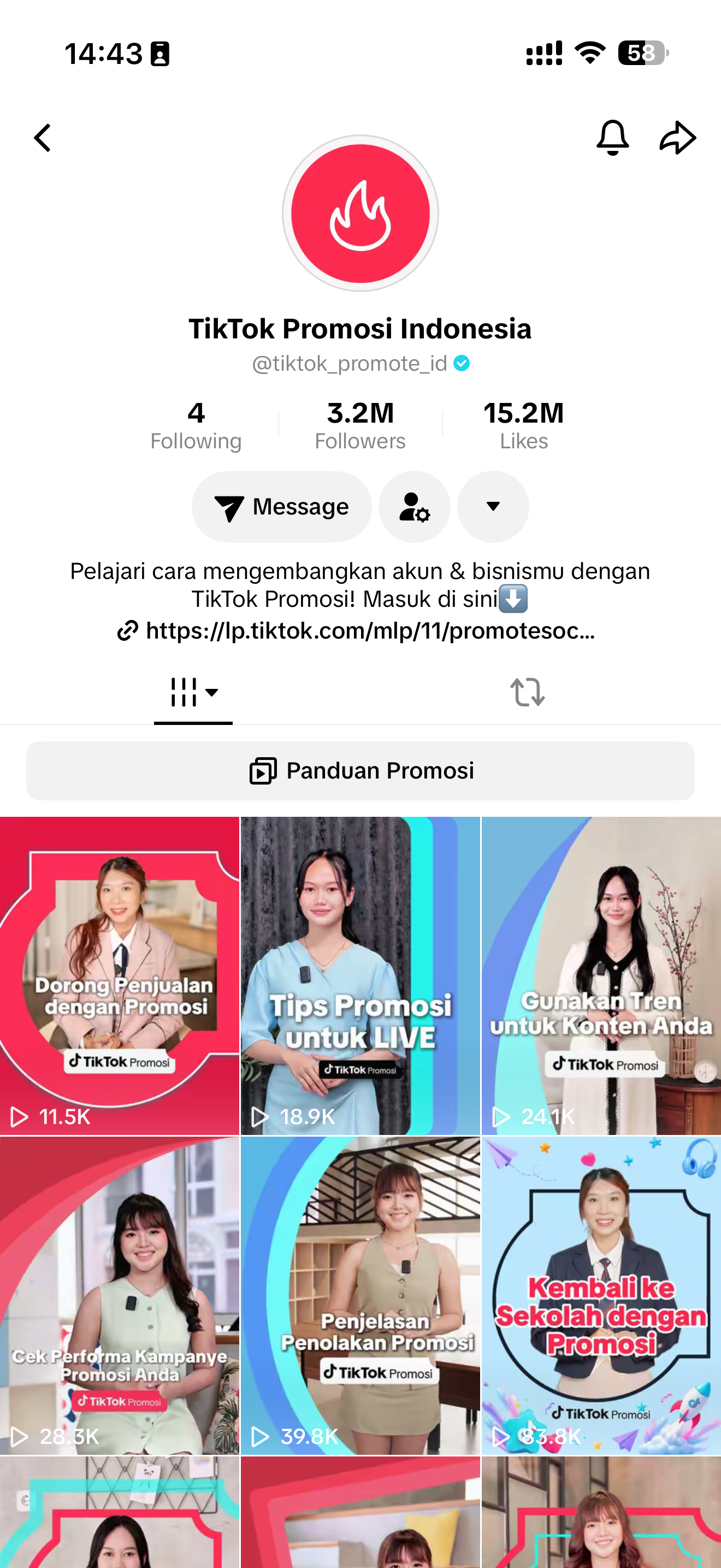 TikTok Promote ID official profile — archived screenshot
