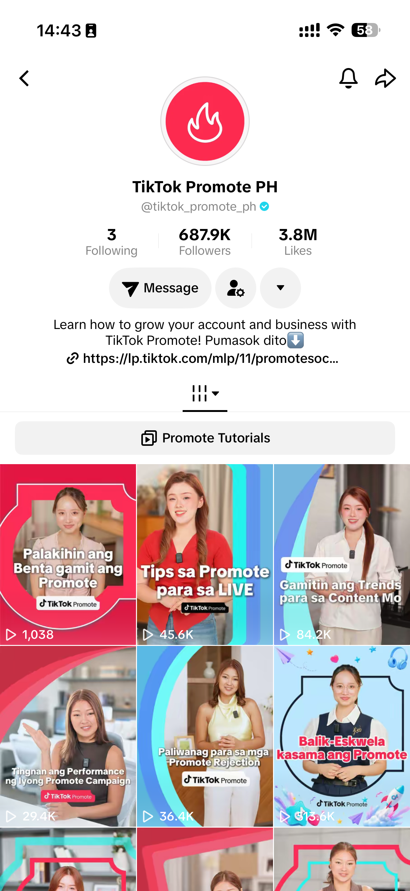 TikTok Promote PH official profile — archived screenshot